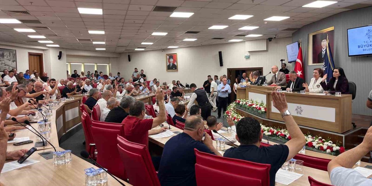 Büyükşehir Meclisi’ne ‘ilaçlama’ konusu damga vurdu