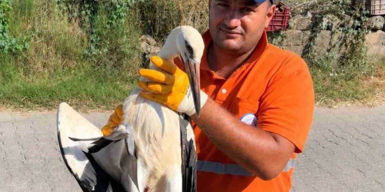 Temizlik personelinin duyarlılığı yaralı Leyleğe umut oldu