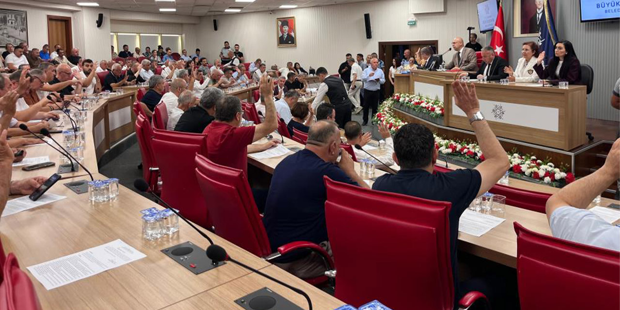 Aydın Büyükşehir Meclisi'nde ilaçlama tartışması: Divana sinek ilacı bıraktı
