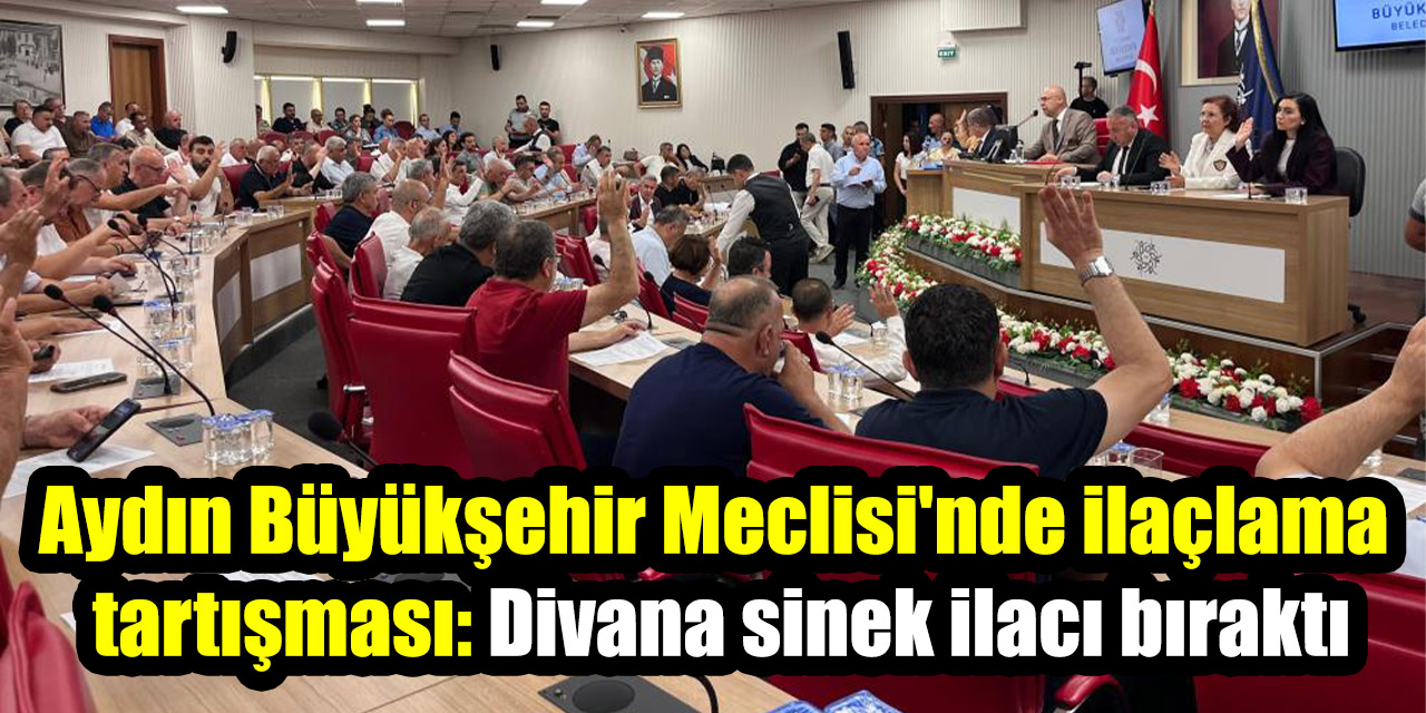 Aydın Büyükşehir Meclisi'nde ilaçlama tartışması: Divana sinek ilacı bıraktı