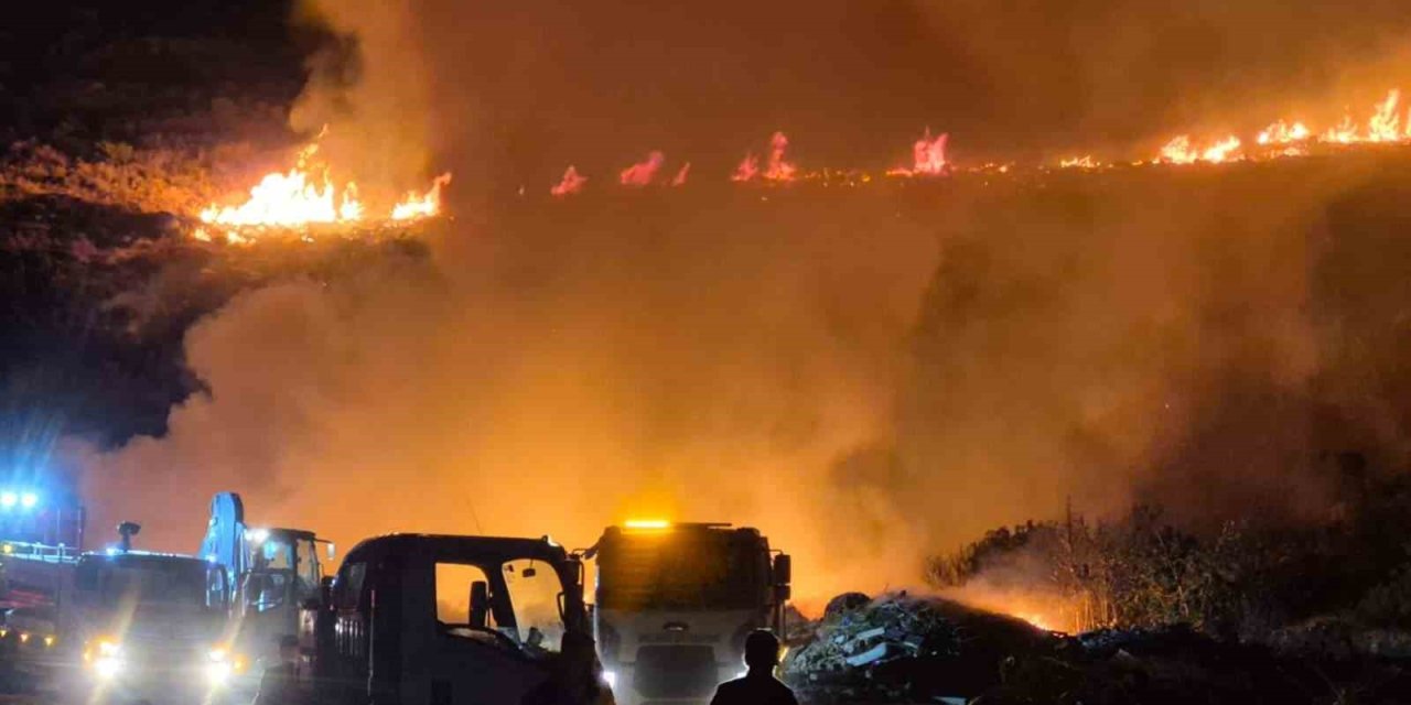 Bodrum’da makilik alanda yangın