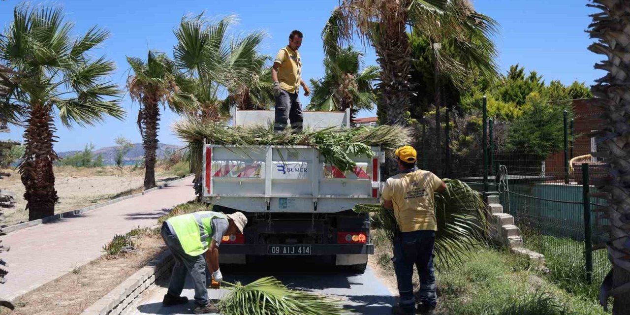 Kuşadası’nda yeşil alanlarda kapsamlı bakım ve düzenleme çalışması