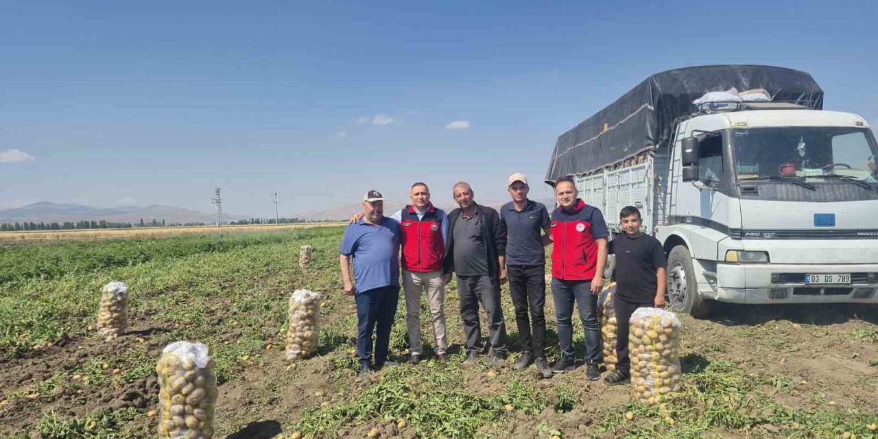 Dinar’da patates hasadı başladı