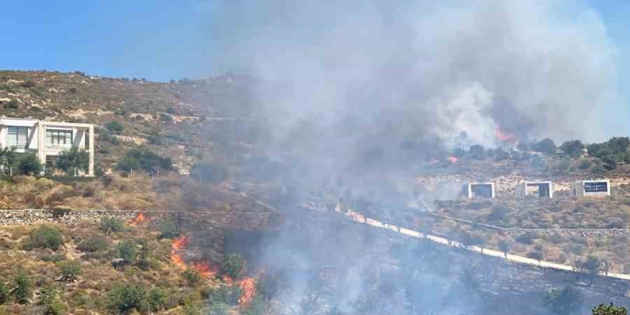Bodrum’da makilik yangını