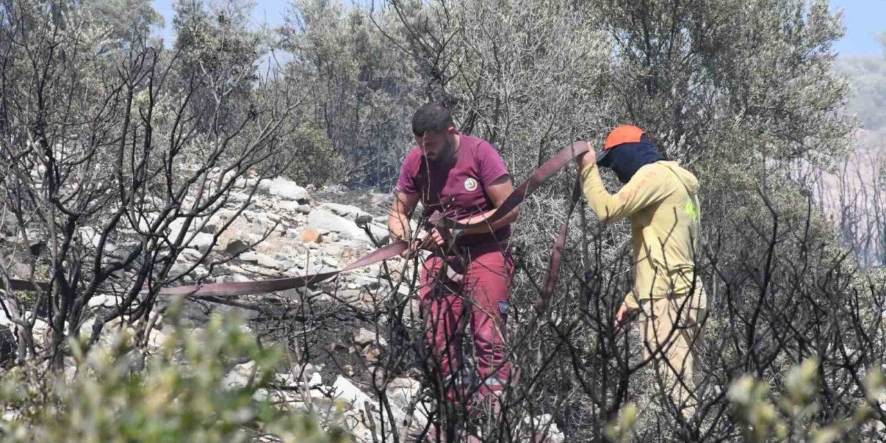 İzmir’de ormanlık alanda çıkan yangın erken müdahaleyle kontrol altında