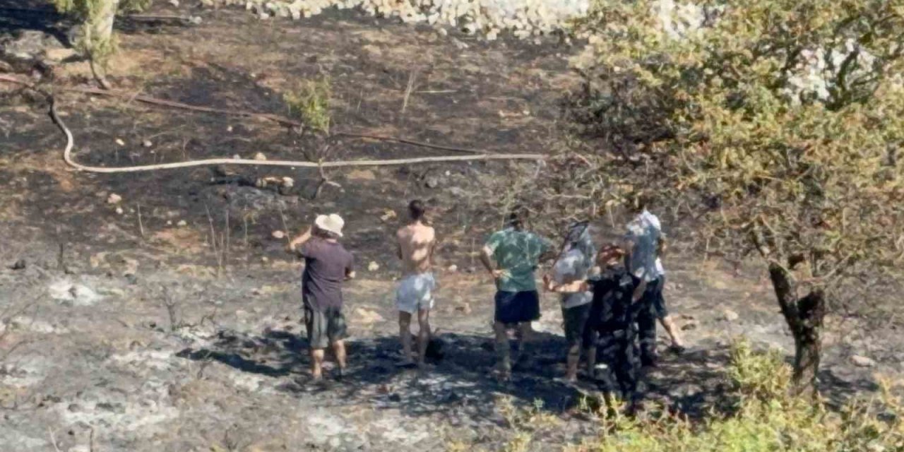Bodrum’da makilik yangını kontrol altına alındı