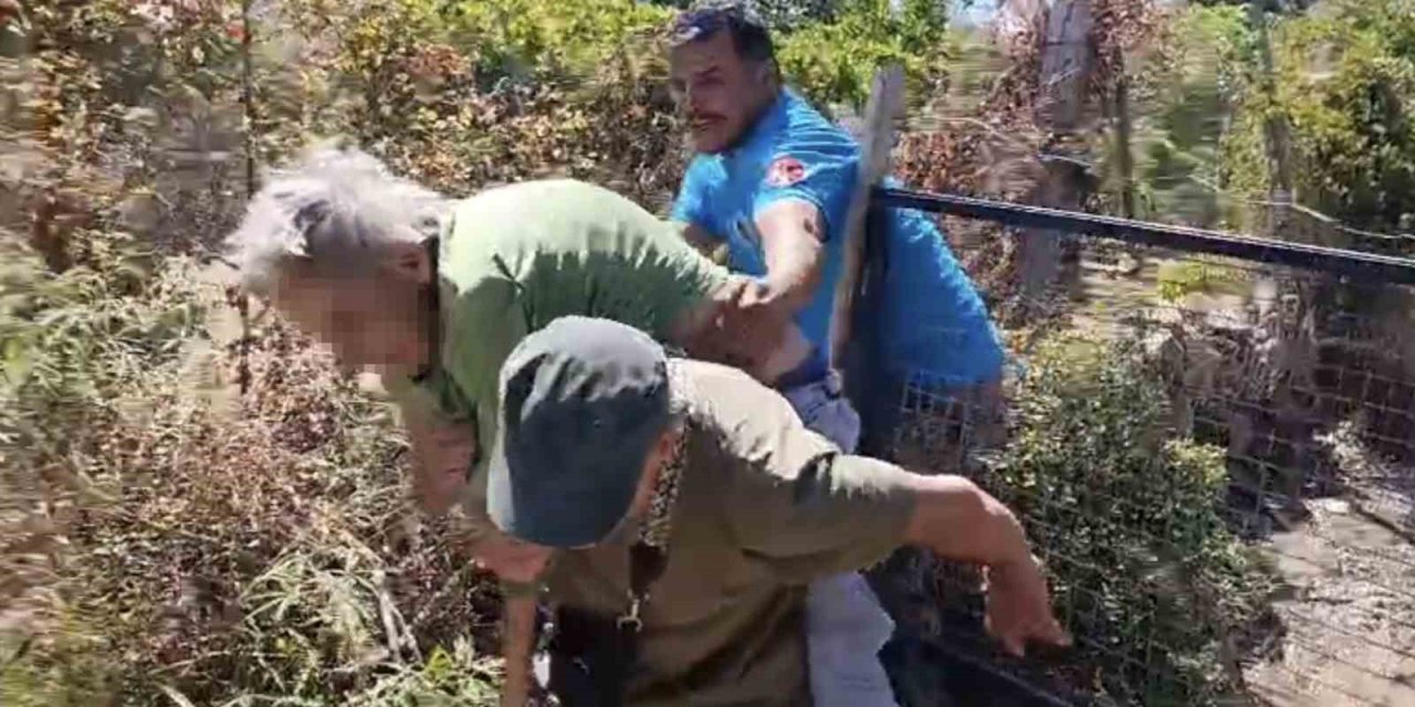 Kendini yakmak isteyen yaşlı kadın makilik alanı ateşe verdi