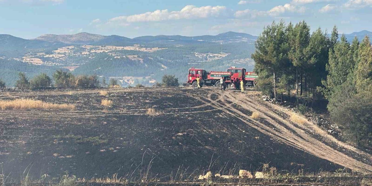 Uşak’ta ormanlık alana sıçrayan yangın söndürüldü