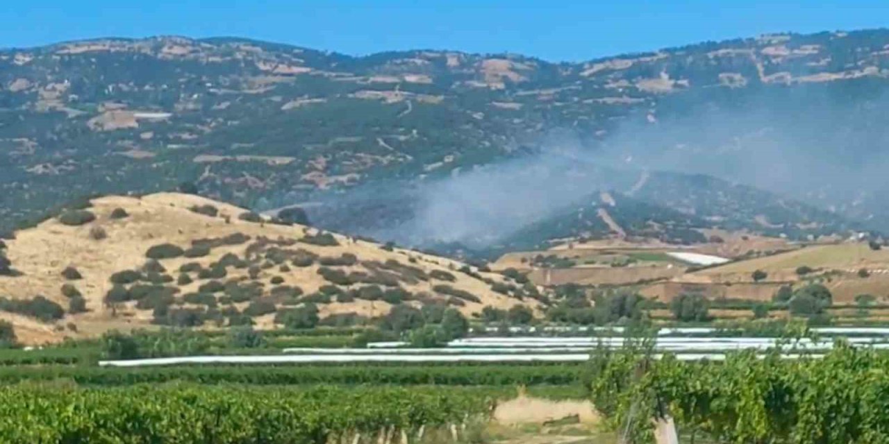 Sarıgöl’de orman yangını