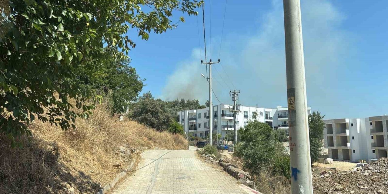 Yerleşim yerlerine yakın makilik alandaki yangın korkuttu