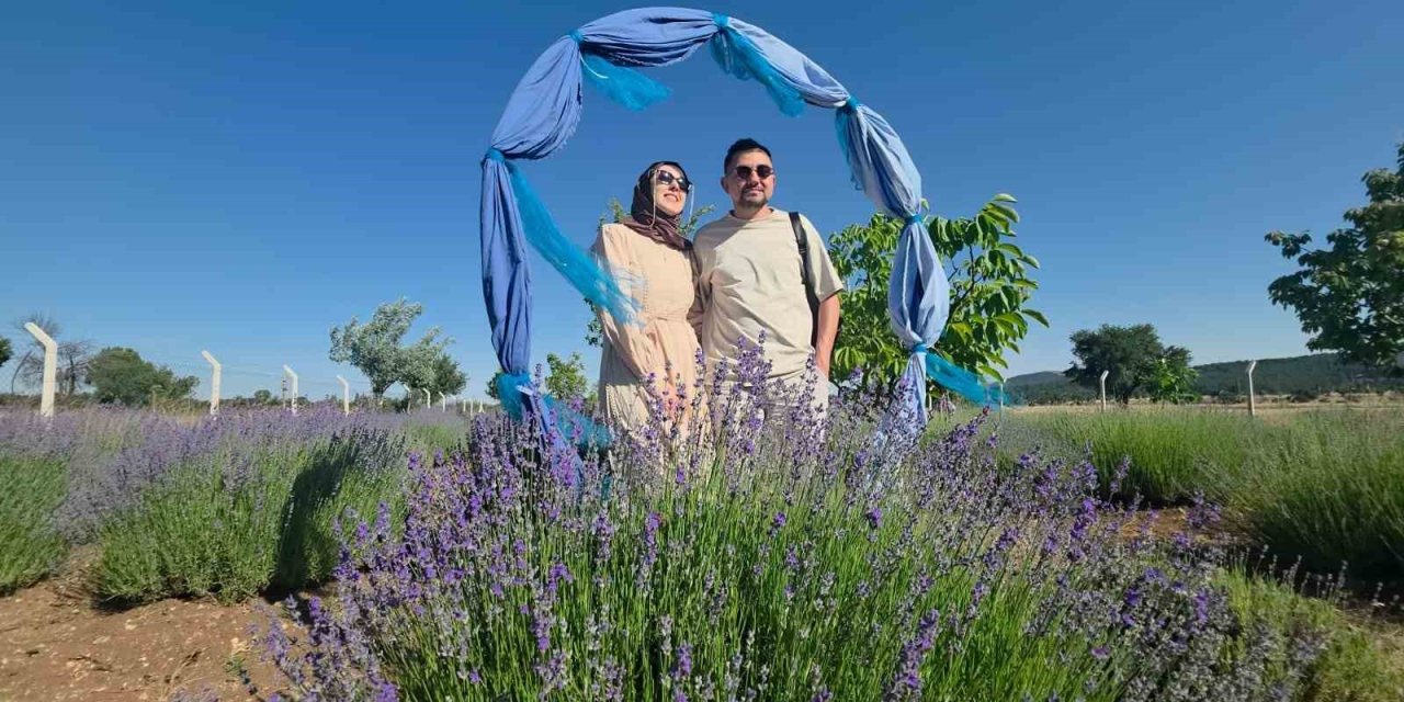 Kütahya’da lavanta bahçesi kırsal turizmin gözdesi oldu