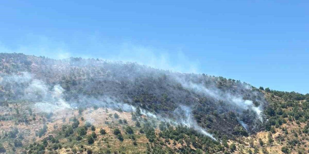 Sultanhisar’daki yangına havadan ve karadan müdahale sürüyor
