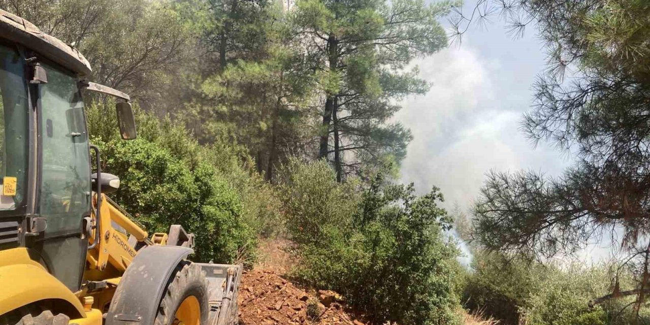 Rüzgarın büyüttüğü yangın 1 saatte söndürüldü