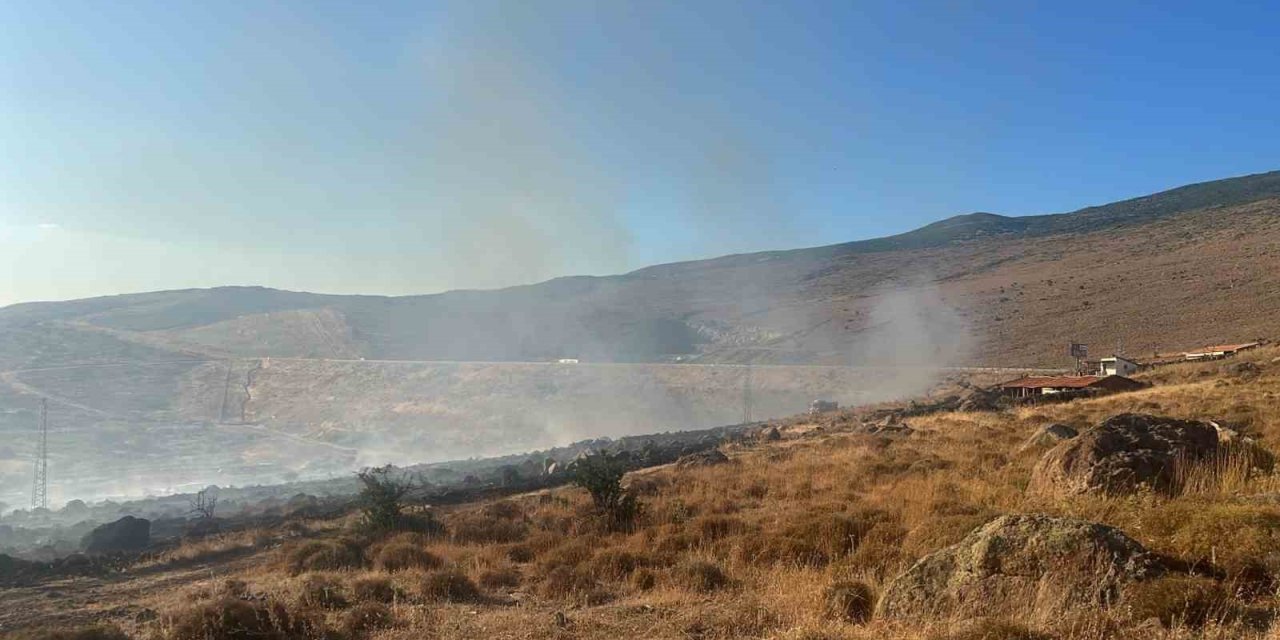Aliağa’da otluk alanda yangın