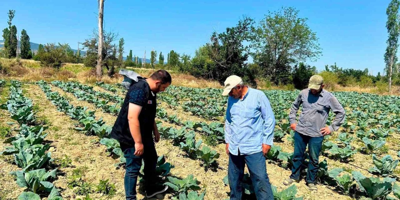 Sebze üretim alanlarında kontroller sürüyor