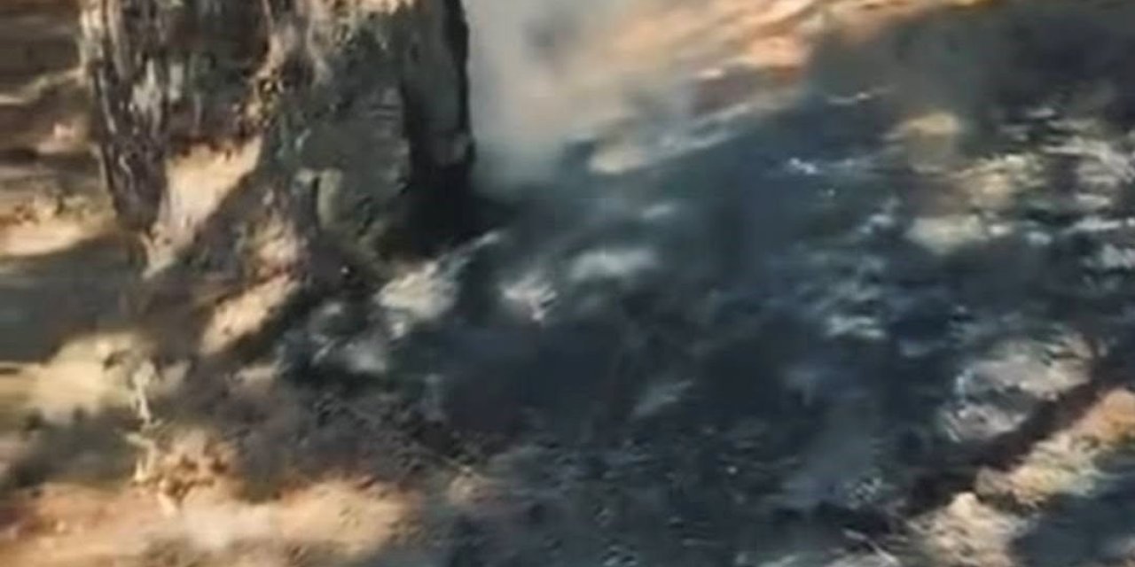 Simav Gölcük mesire alanında korkutan yangın