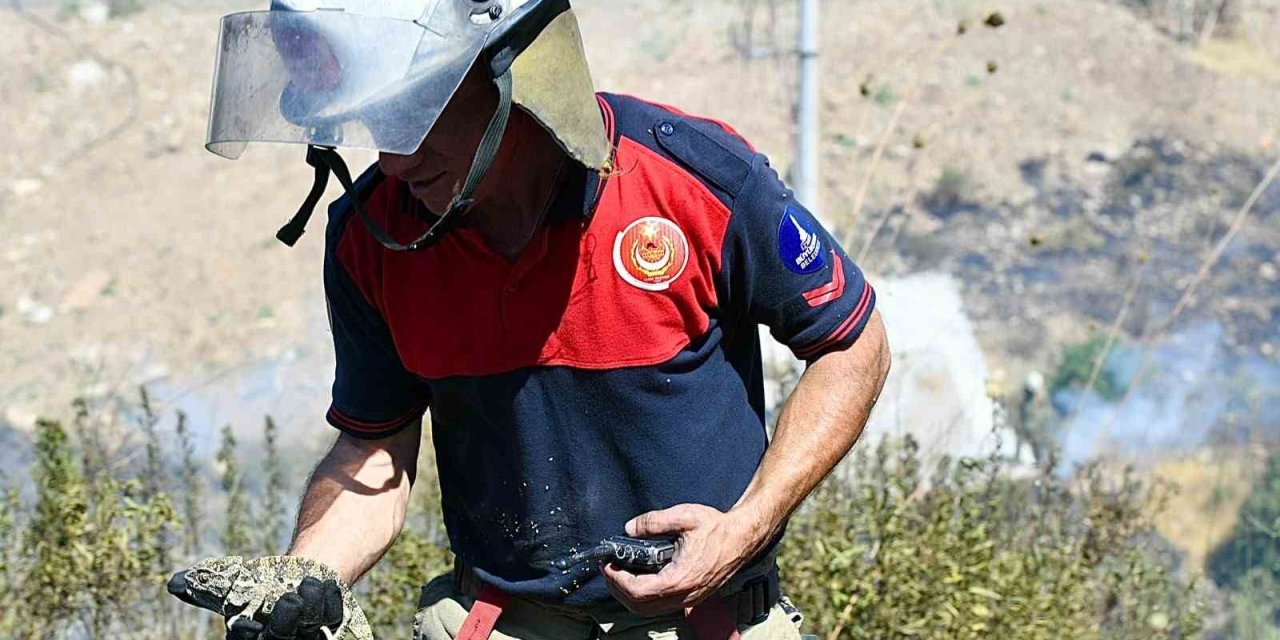 İzmir İtfaiyesi bukalemunu hayata döndürdü
