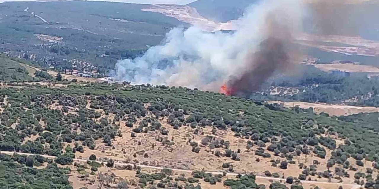 İzmir’de orman yangınına havadan ve karadan müdahale