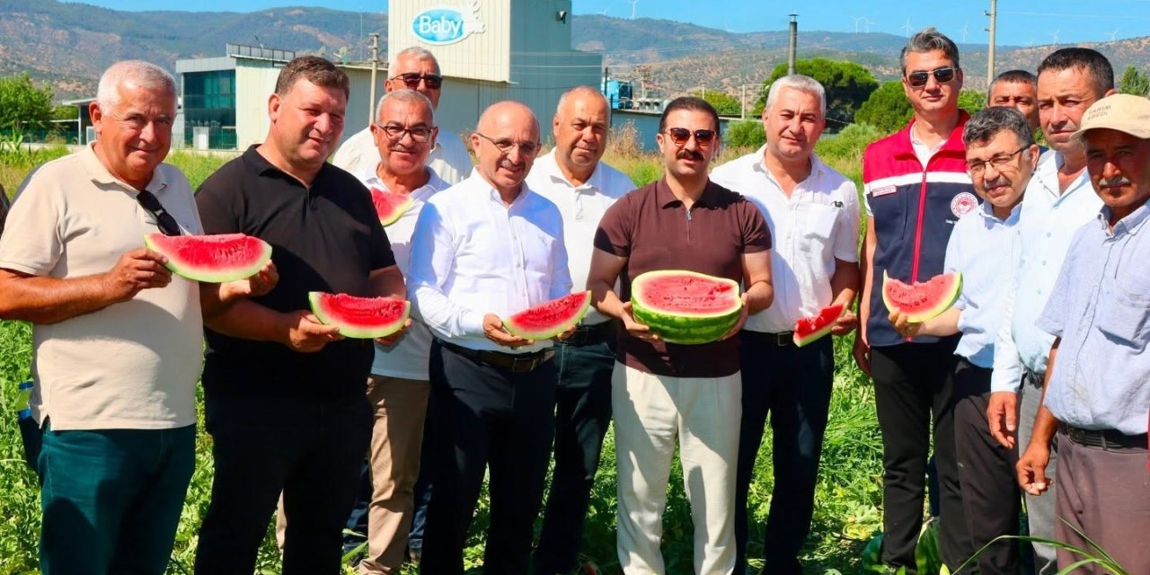 Cincin karpuzunda ilk hasat heyecanı yaşandı