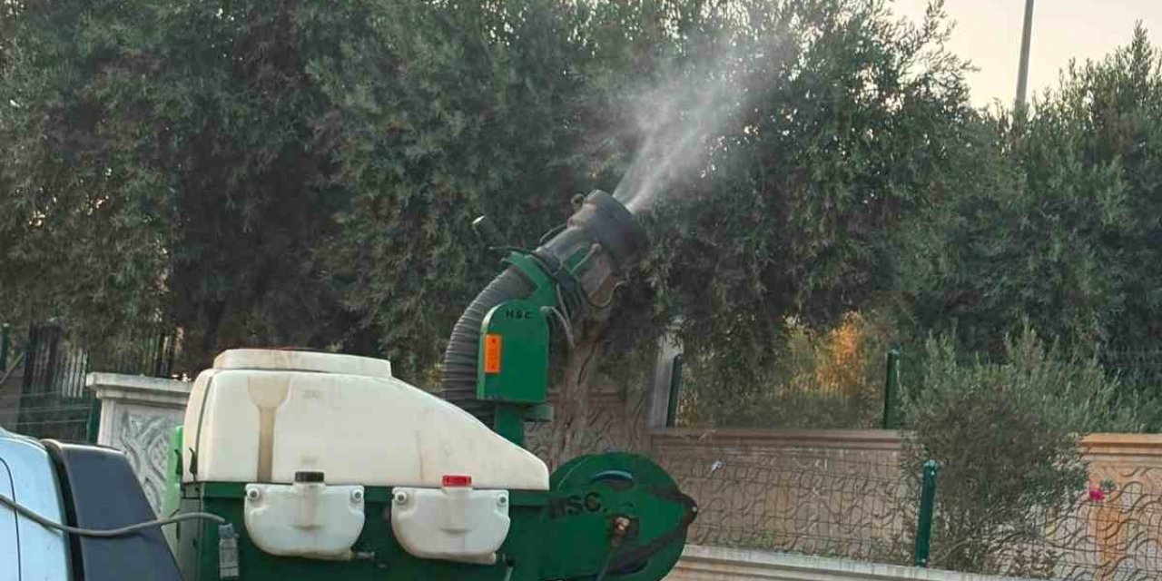 Didim’de halk sağlığı için ilaçlama seferberliği