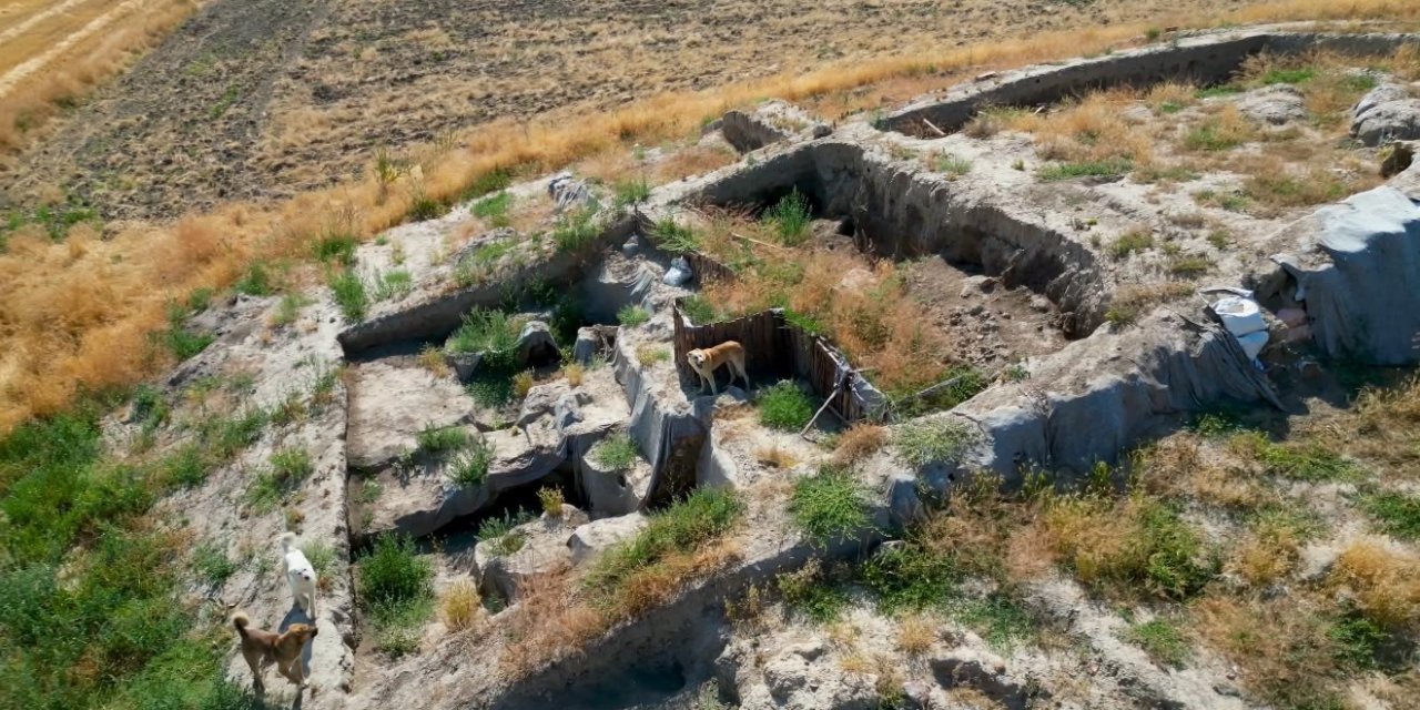 Milattan Önce 2000’li yıllara ait kazı alanı sokak köpeklerinin meskeni haline geldi