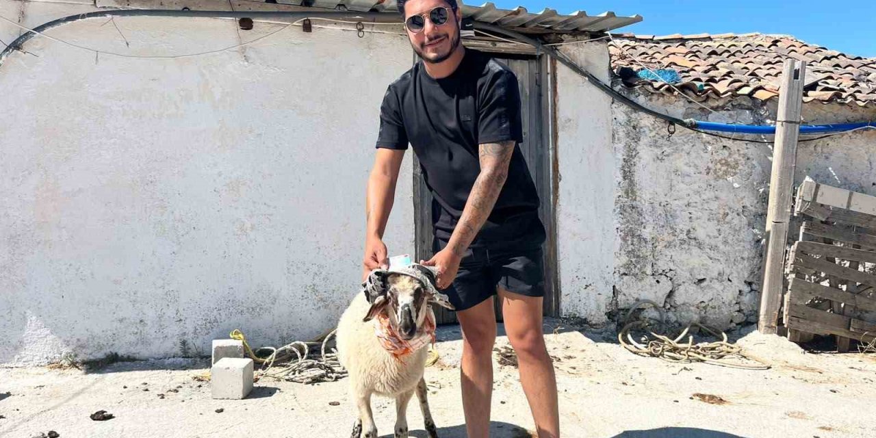 Ehliyetine 5 yıl sonra kavuştu, sevincini kurban keserek kutladı