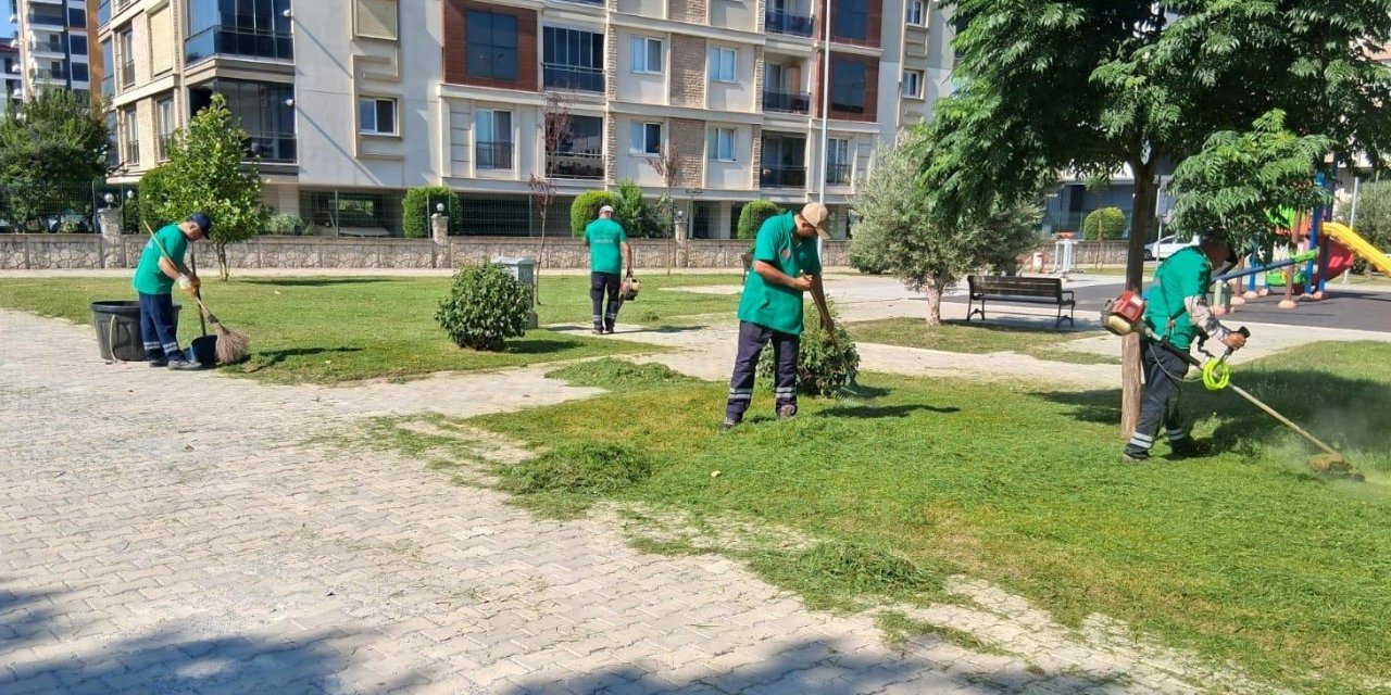 Efeler’de parklar ve yeşil alanlar bakımdan geçiriliyor