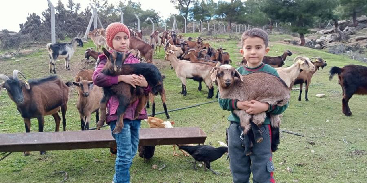 "Keçiler ormanın düşmanı değil, yangının önleyicisi"
