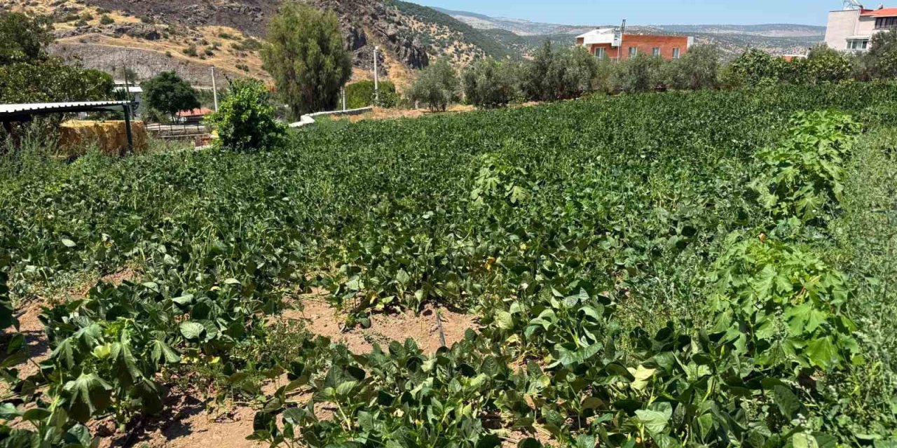 Menemen’de su hasreti çeken Ayvacık köyüne asırlık hizmet