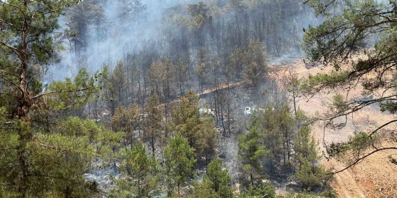 Fethiye’de orman yangınını söndürme çalışmaları sürüyor