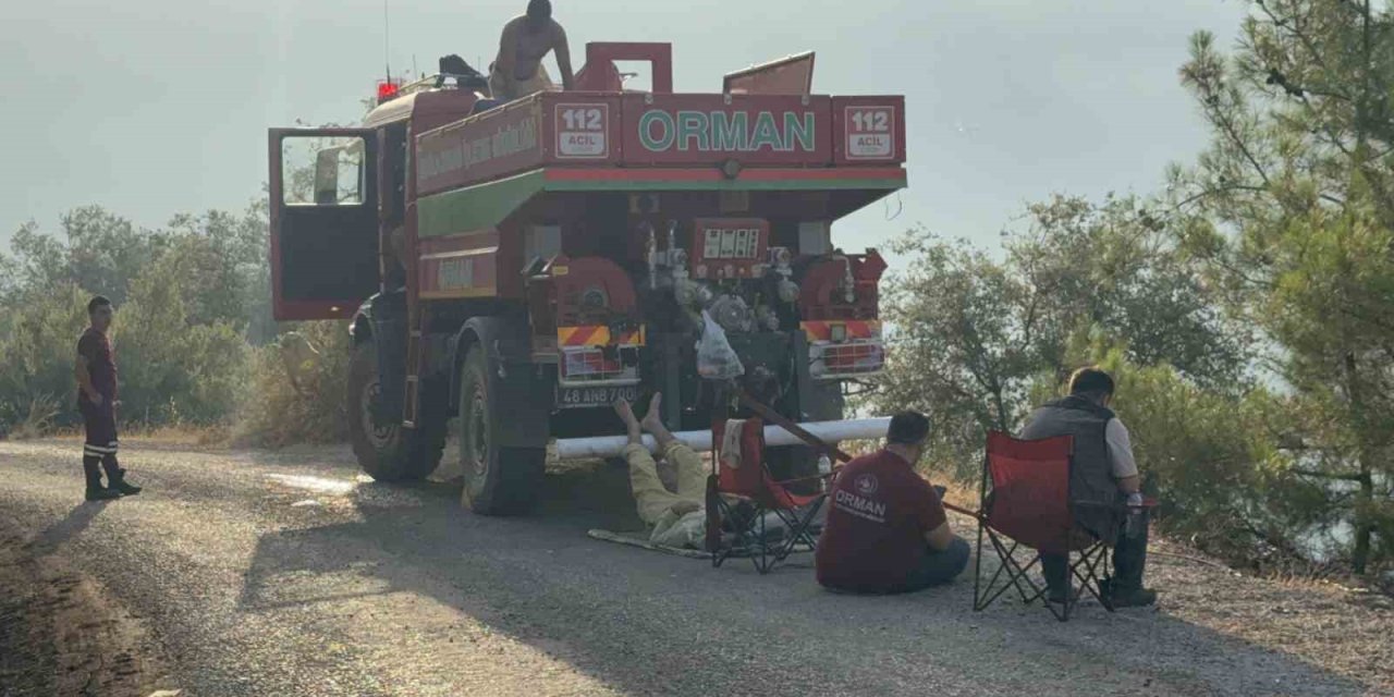 Yeşil vatan için ateşe yürüdüler, sabahı küle bulanmış yüzlerle karşıladılar