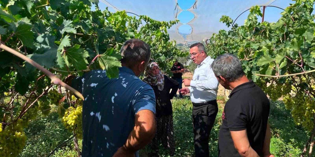 Kaymakam Dalak’tan üzüm üreticisine moral ziyareti
