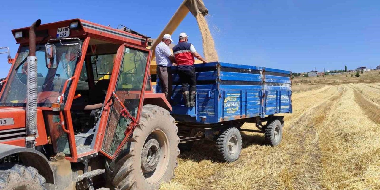 Kütahya’da yerli ve milli arpa çeşitlerinin hasadı yapıldı