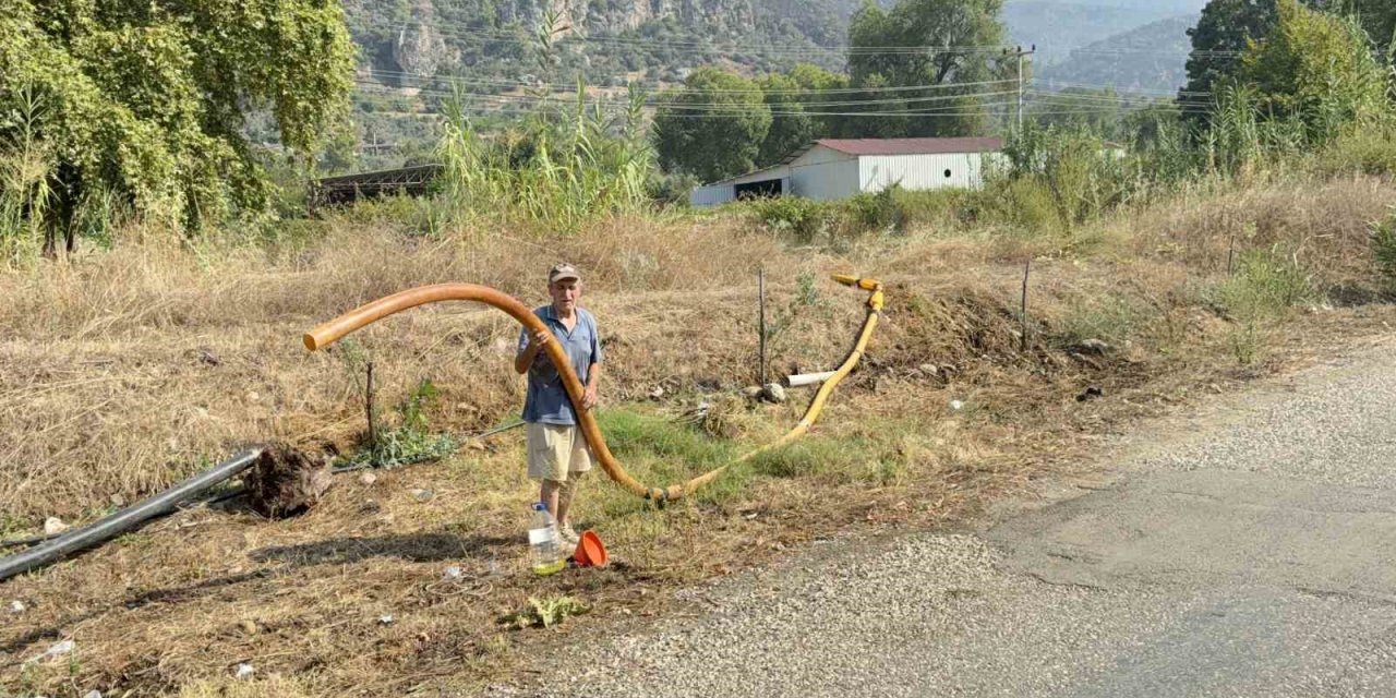 Zeytinlikleri kül oldu, gözyaşını içine akıtıp yangına su taşıdı