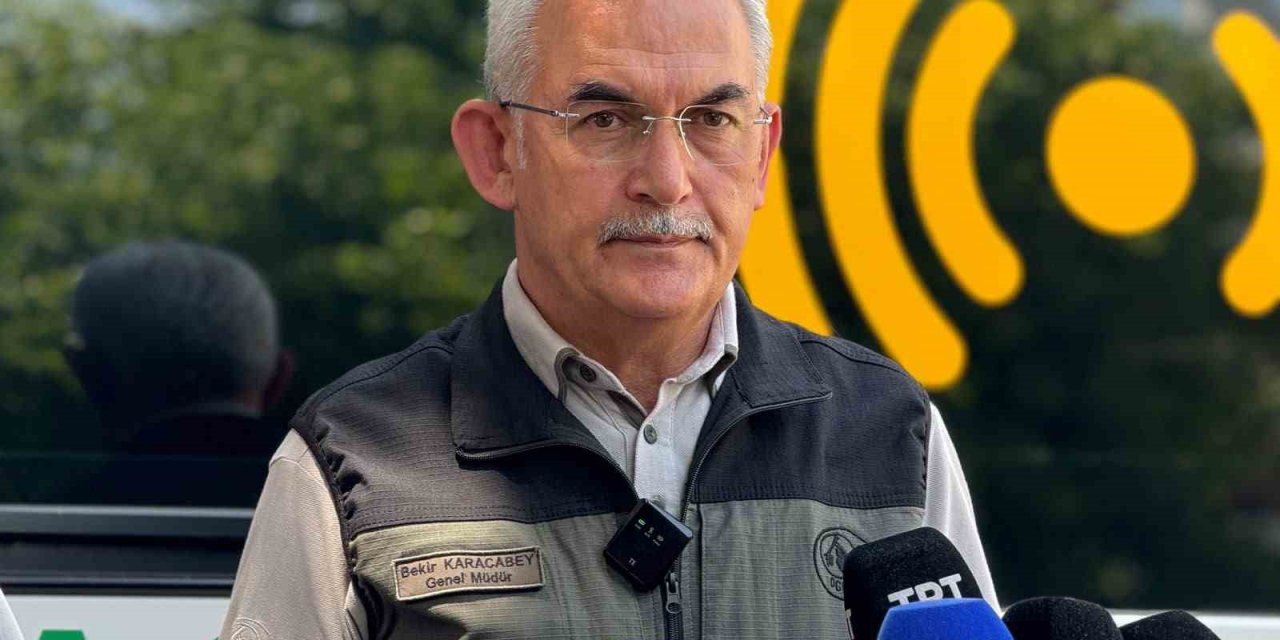 OGM Genel Müdürü Karacabey: "Fethiye yangını kontrol altında, yaklaşık 200 hektar ormanlık alan etkilendi"