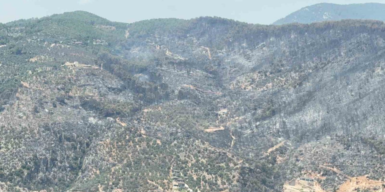 Yeşilden siyaha bürünen alan helikopterden görüntülendi