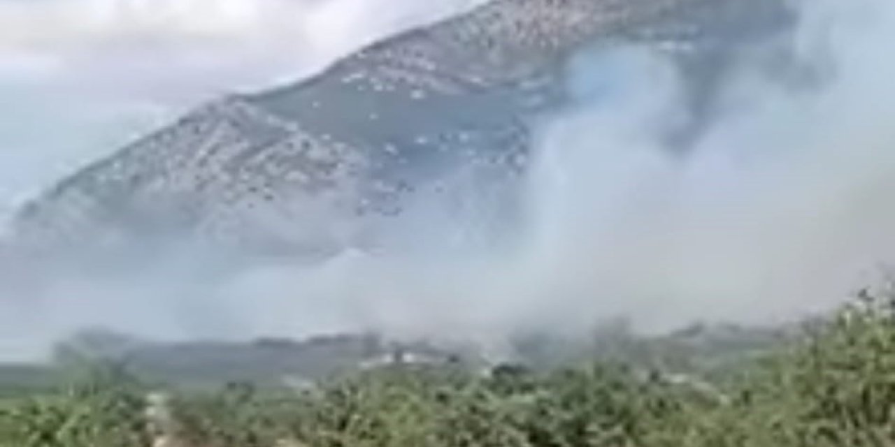 Acıpayam’daki orman yangını kontrol altına alındı