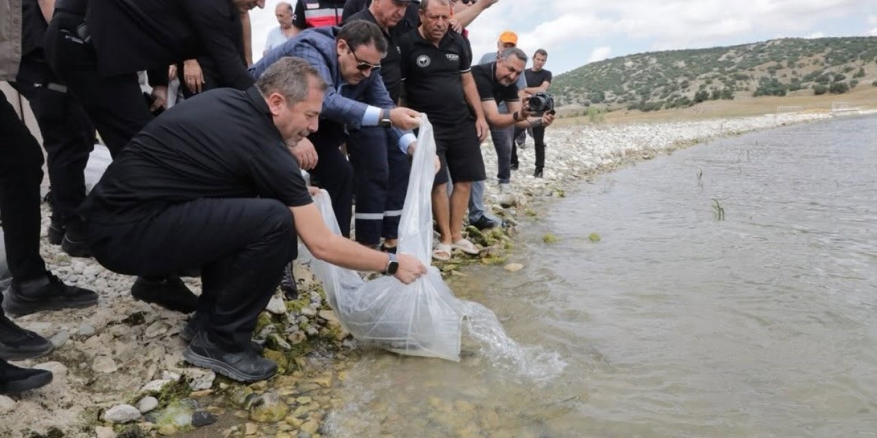 Kütahya’da Porsuk Barajı Göleti’ne 107 bin 500 balık yavrusu bırakıldı