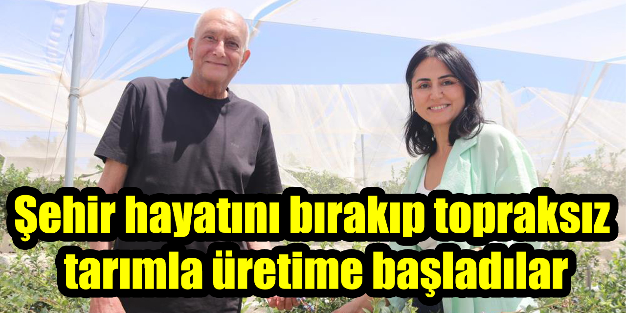 Şehir hayatını bırakıp topraksız tarımla üretime başladılar