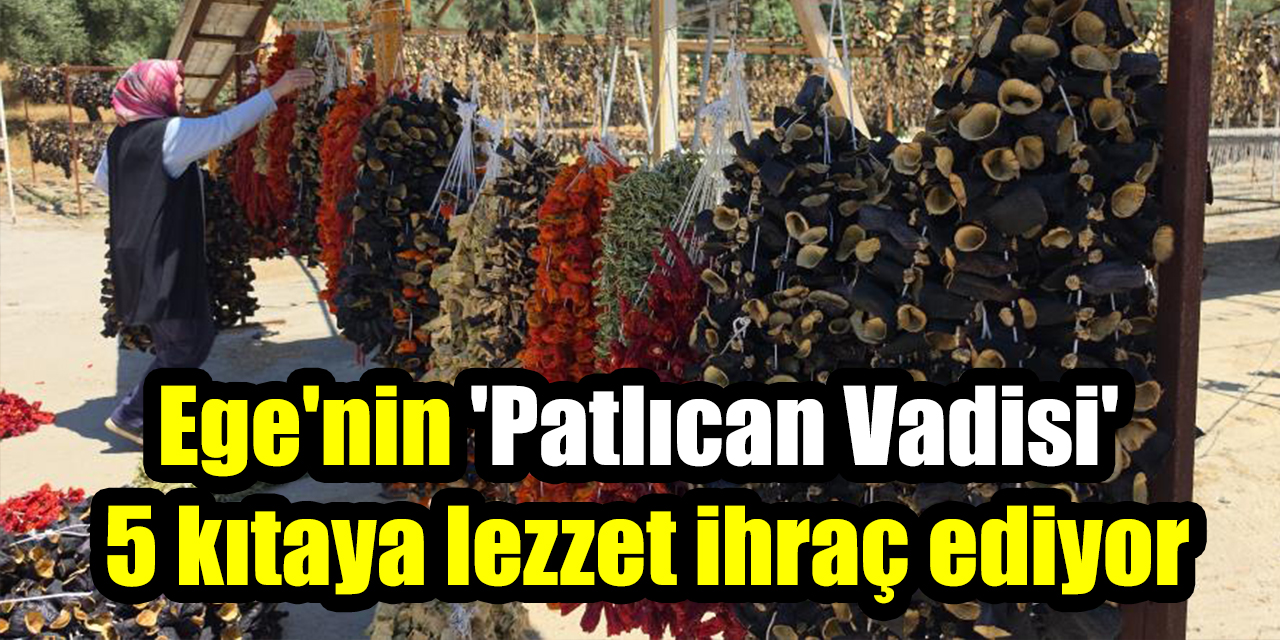 Ege’nin 'Patlıcan Vadisi' 5 kıtaya lezzet ihraç ediyor