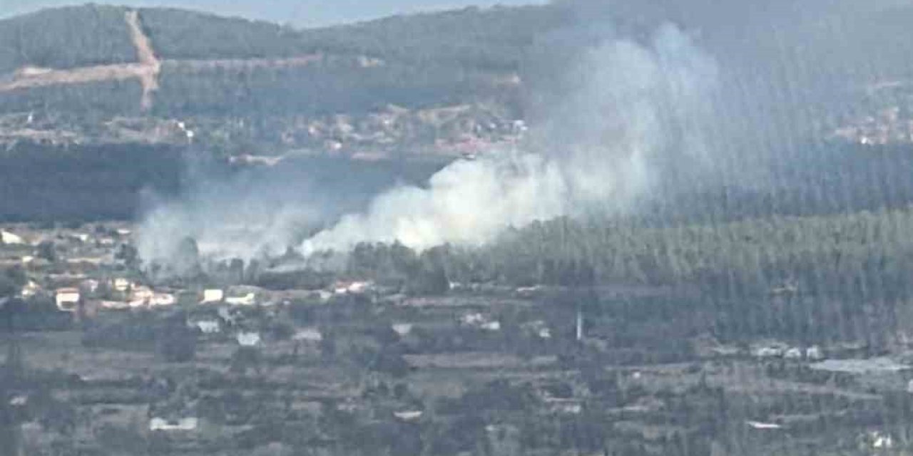 Muğla Menteşe’de orman yangını