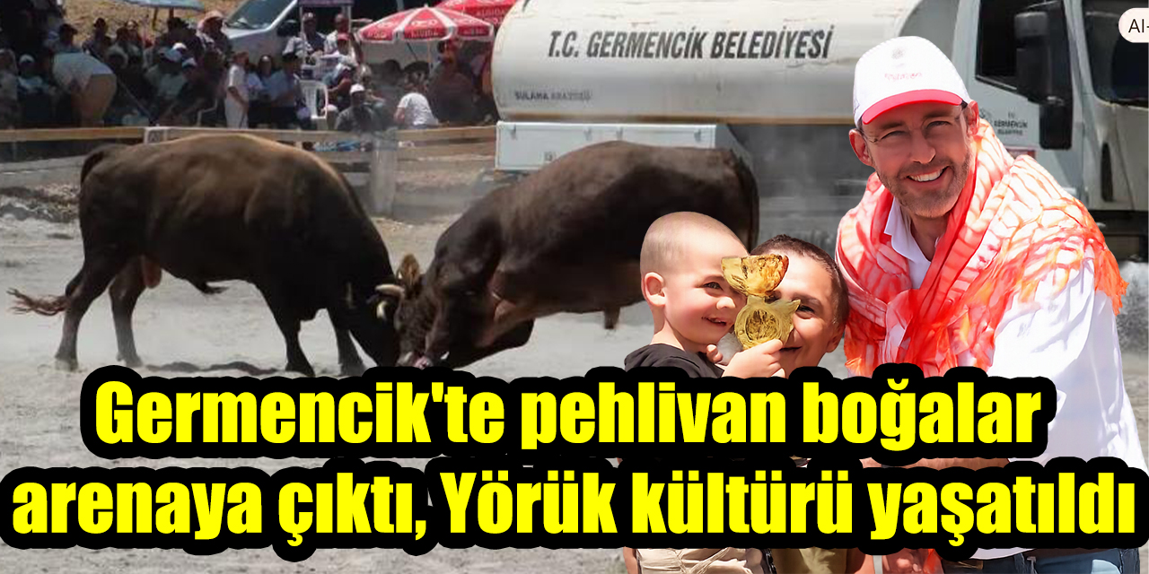 Germencik'te pehlivan boğalar arenaya çıktı, Yörük kültürü yaşatıldı