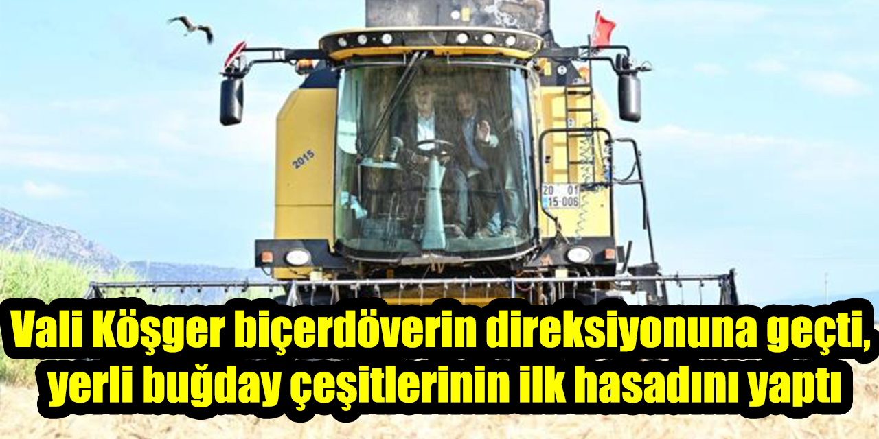 Vali Köşger biçerdöverin direksiyonuna geçti, yerli buğday çeşitlerinin ilk hasadını yaptı