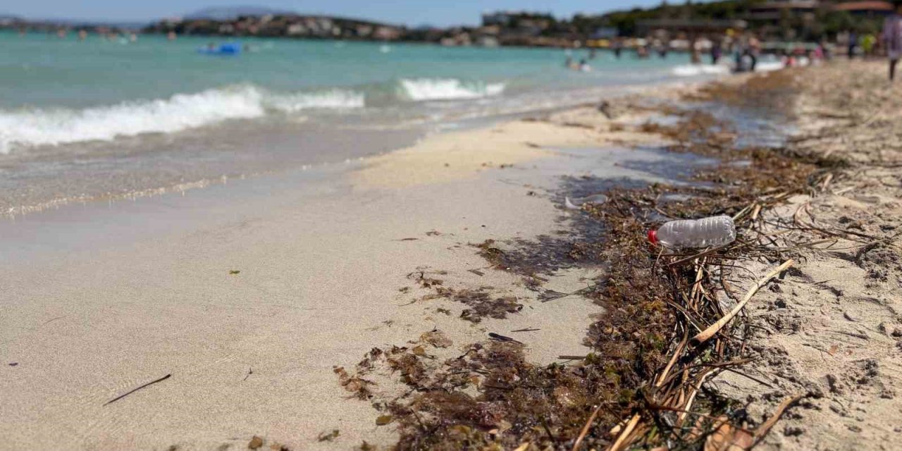 Çeşme sahillerindeki kirlilik tatilcilerin tepkisine neden oldu