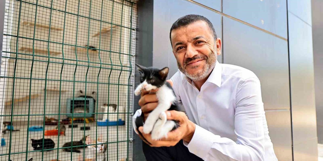 Denizli Büyükşehir’den can dostlarına şefkat eli