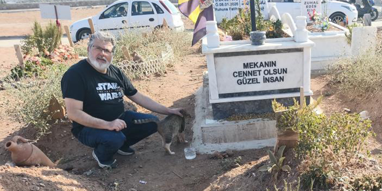 Aylardır sahibinin mezarını bekliyor: Aydın'daki vefalı kedi görenleri duygulandırıyor