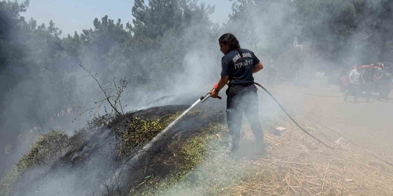 Aydın Büyükşehir İtfaiyesi 8 günde 445 yangına müdahale etti