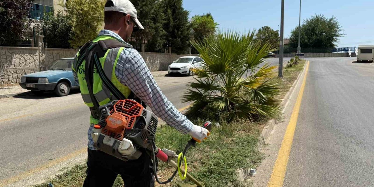 Aydın Büyükşehir’den Çeştepe’de park ve yeşil alanlara bakım