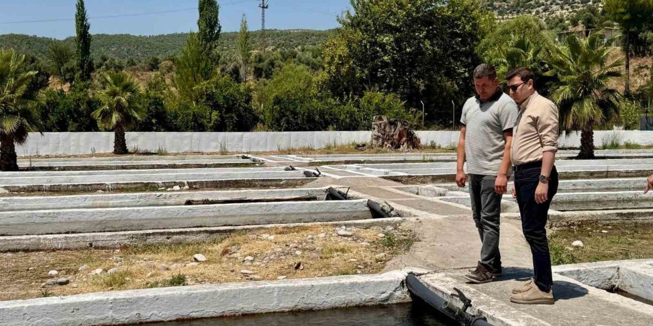 Kaymakam Sözen, tarım müdürlüğü ve su ürünleri işletmesinde incelemelerde bulundu