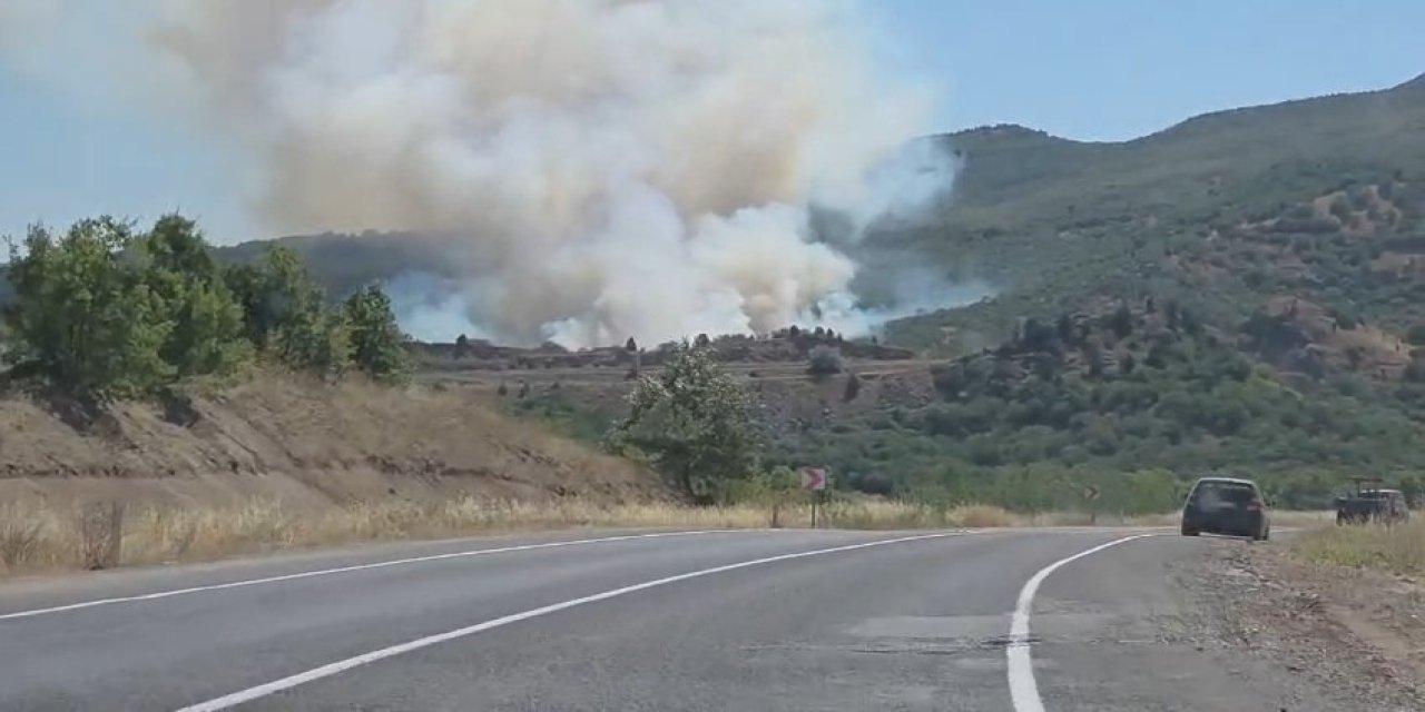 Domaniç’te tarlada başlayan yangın ormana sıçradı